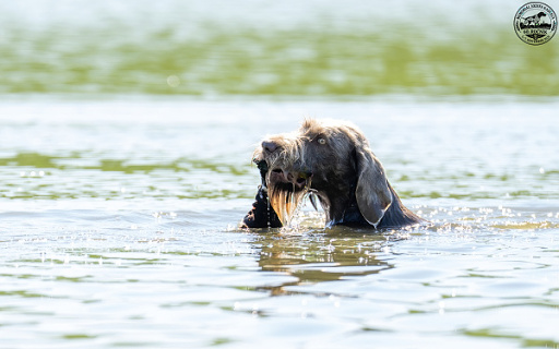 Memorial-jozefa-kadleca4